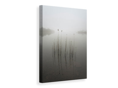canvas-print-reeds-in-the-mist