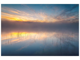 canvas-print-reeds-x