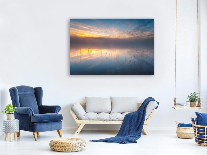 canvas-print-reeds-x