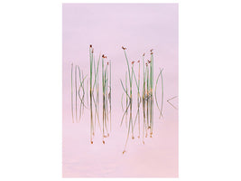 canvas-print-reflection-of-serenity