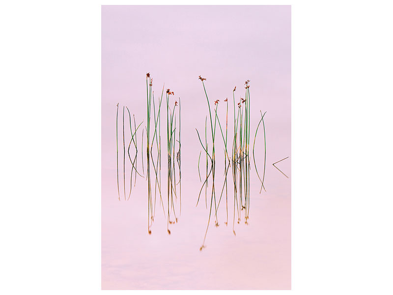 canvas-print-reflection-of-serenity