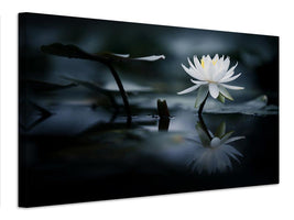 canvas-print-reflection-xkq