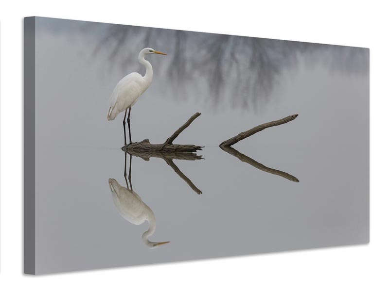 canvas-print-reflections-x