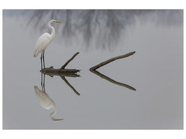 canvas-print-reflections-x