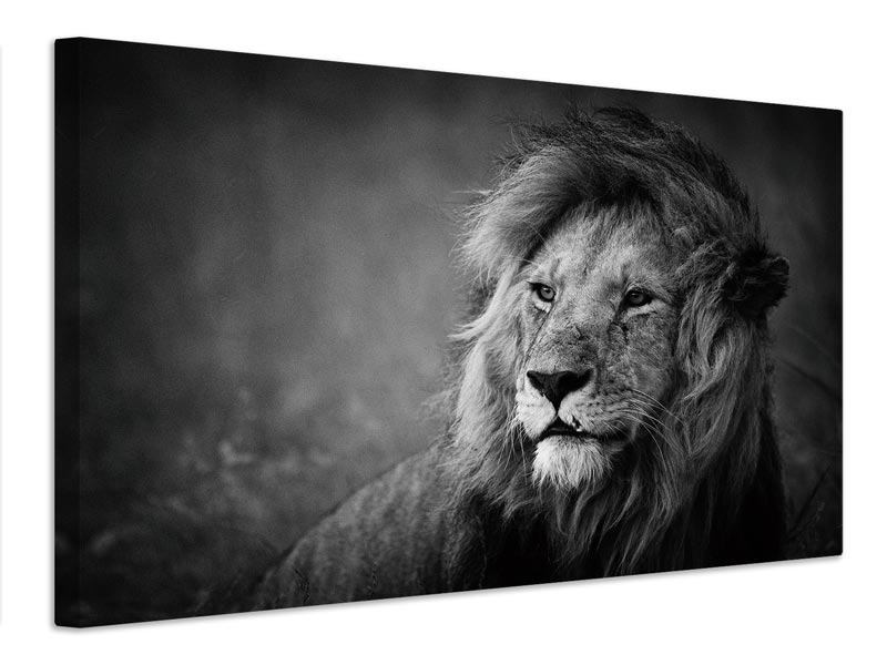 canvas-print-regal-x