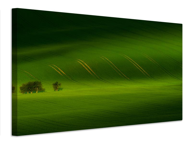 canvas-print-rolling-hills-x