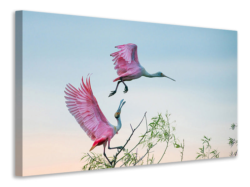 canvas-print-rosy-pair