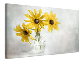 canvas-print-rudbeckia-x