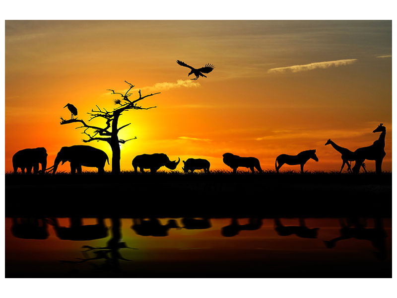 canvas-print-safari-animals-at-sunset