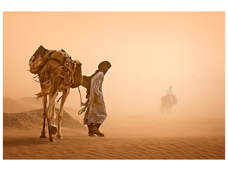 canvas-print-sand-storm-x