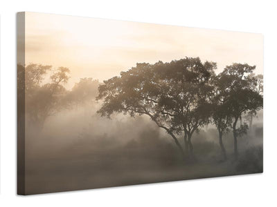 canvas-print-savana-sunrise-x