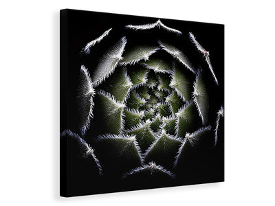 canvas-print-sempervivum-rosette