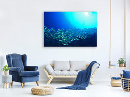 canvas-print-shoal-of-fish