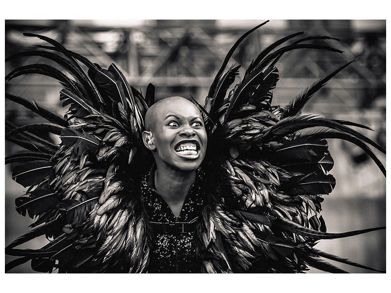 canvas-print-skunk-anansie