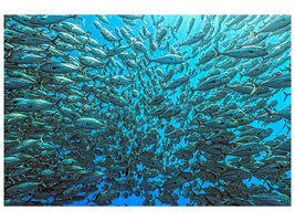 canvas-print-splitted-school-of-jackfish-x