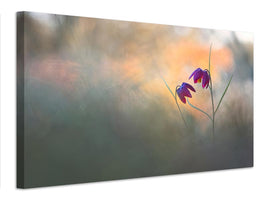 canvas-print-spring-danse-x