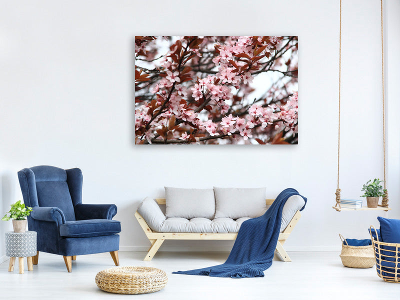 canvas-print-spring-is-here