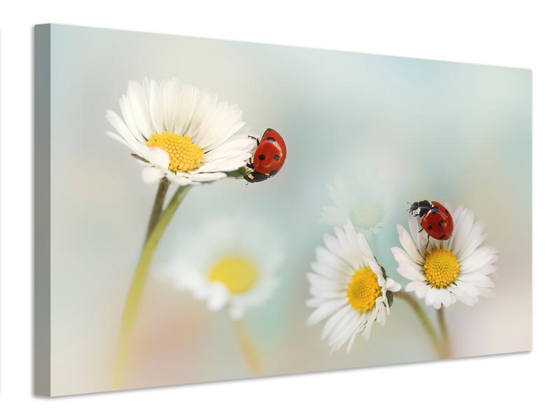 canvas-print-springtime-xtp