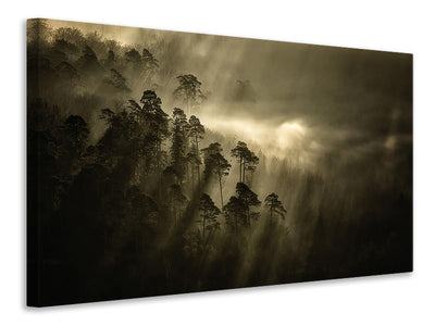 canvas-print-streiflichter