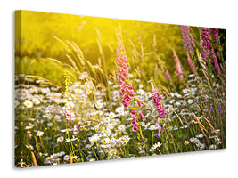 canvas-print-summer-flower-meadow