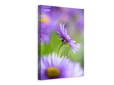 canvas-print-summer-splash-x