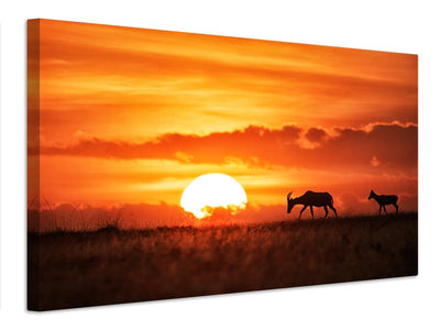 canvas-print-sun-rise-x