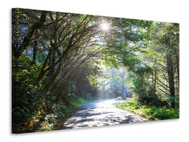 canvas-print-sunny-forest-path