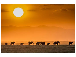 canvas-print-sunrise-over-amboseli-x