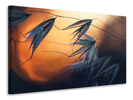 canvas-print-sunset-p