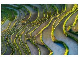 canvas-print-terraced-fields-x