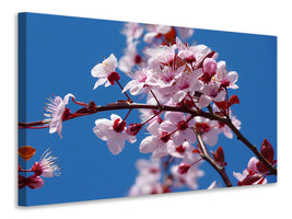 canvas-print-the-almond-blossom