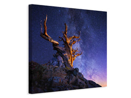 canvas-print-the-ancient-tree-x