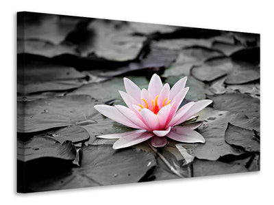 canvas-print-the-art-of-water-lily