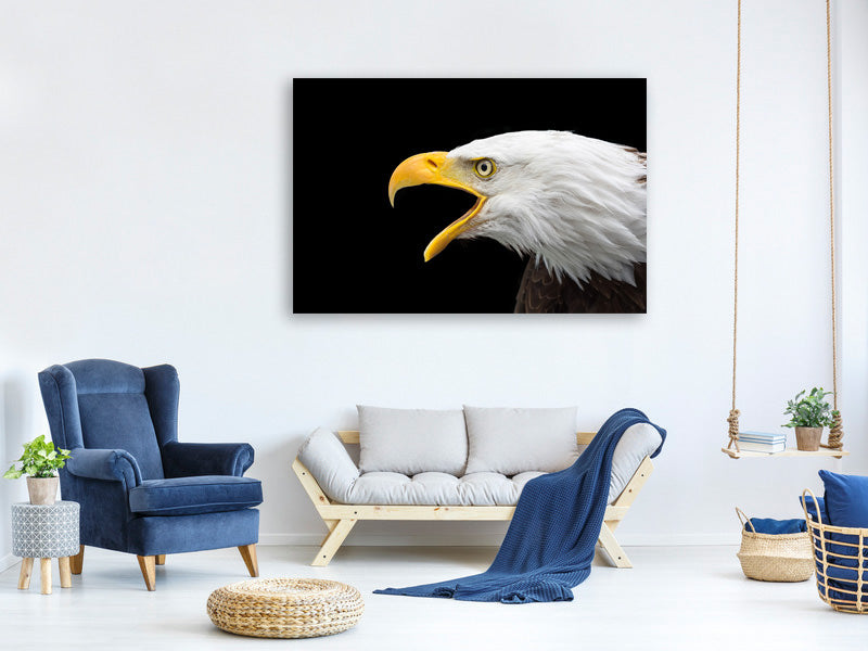 canvas-print-the-bald-eagle