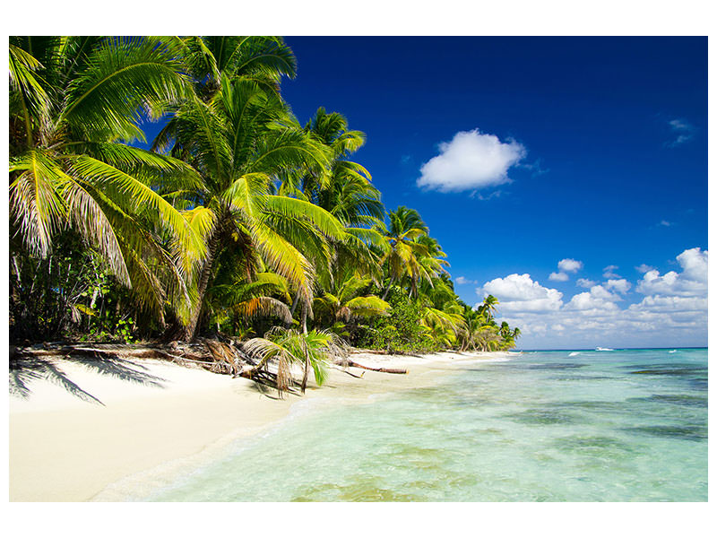 canvas-print-the-deserted-island