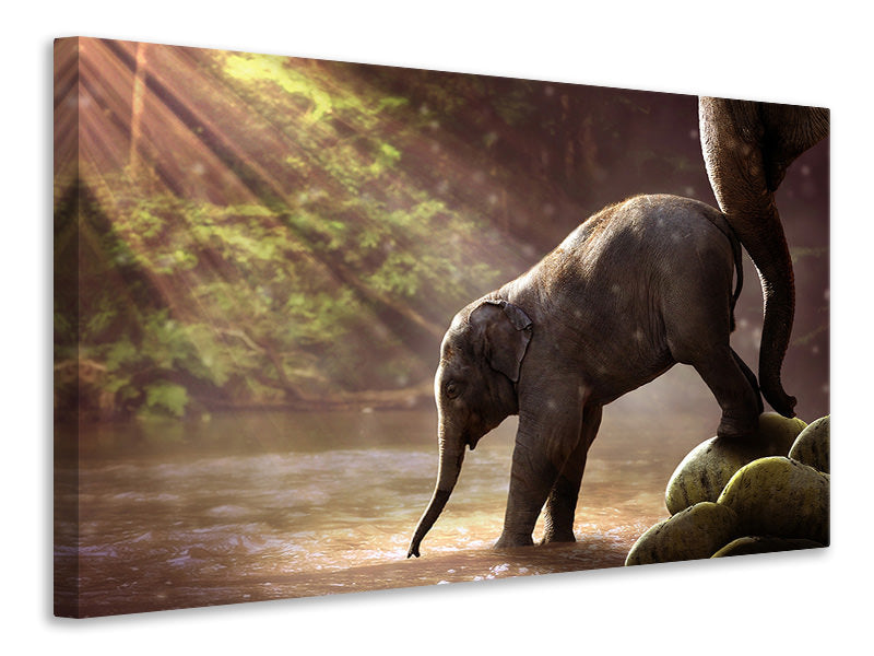 canvas-print-the-elephant-baby