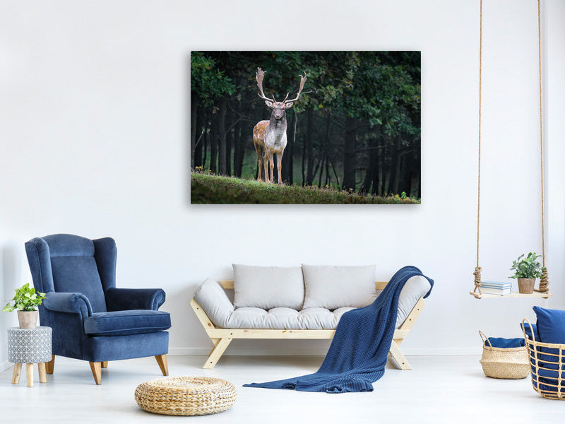 canvas-print-the-fallow-deer-ii