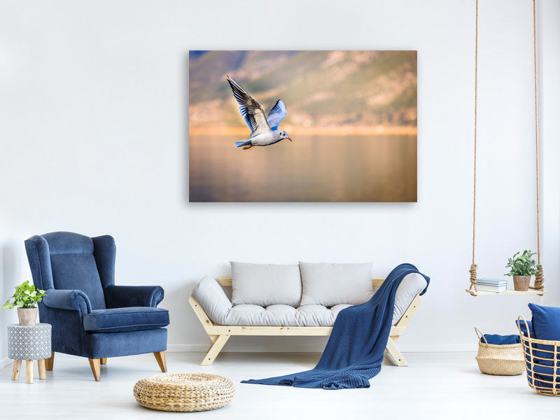 canvas-print-the-flying-seagull