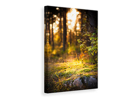 canvas-print-the-forest-in-the-background