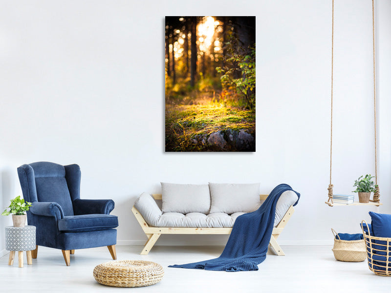 canvas-print-the-forest-in-the-background