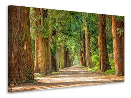 canvas-print-the-green-avenue