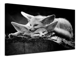 canvas-print-the-happy-couple-x