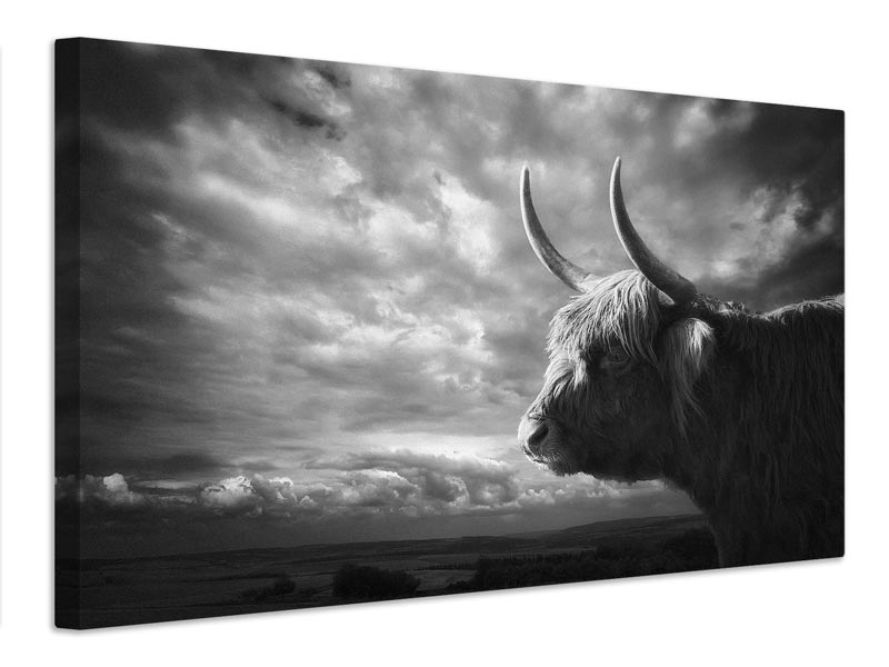 canvas-print-the-highlands-x