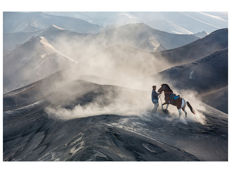 canvas-print-the-horseman