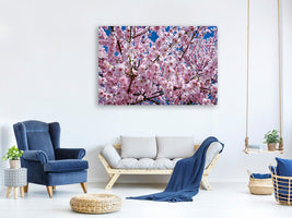 canvas-print-the-japanese-cherry