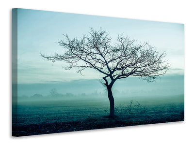 canvas-print-the-magic-tree