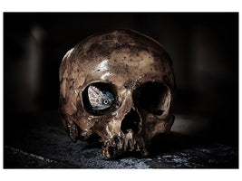 canvas-print-the-skull