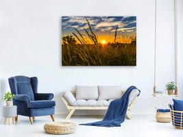 canvas-print-the-sunset-on-the-field