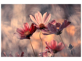 canvas-print-the-three-sisters-x