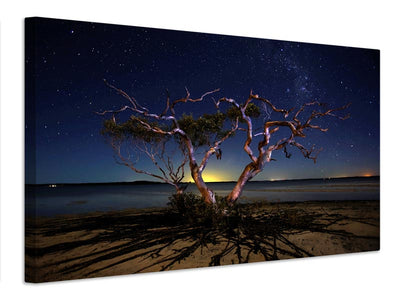 canvas-print-the-tree-x